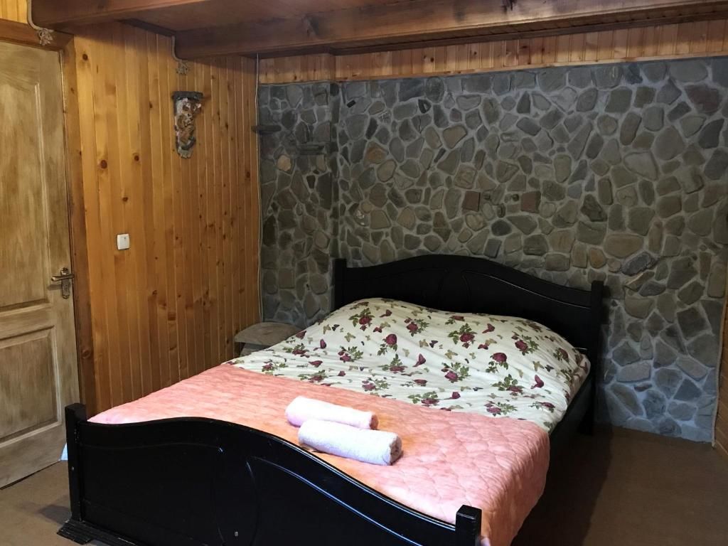 Шале Karpatske Vidlunnya Микуличин-46
